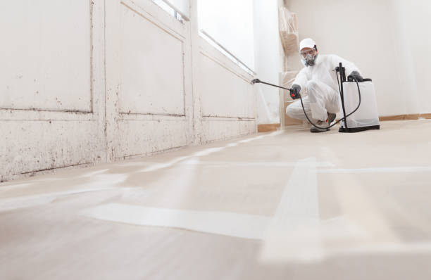 24/7 Emergency Attic Mold Remediation experts in Dolphin, VA